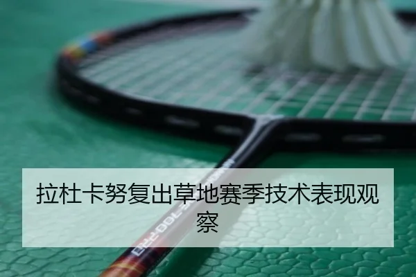 拉杜卡努复出草地赛季技术表现观察